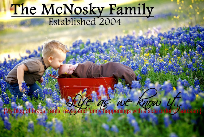 The McNosky Blog