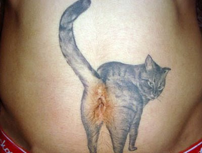 cat tattoo on stomach