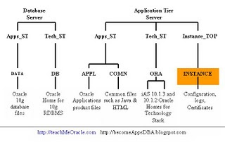 Directory structure on R12: