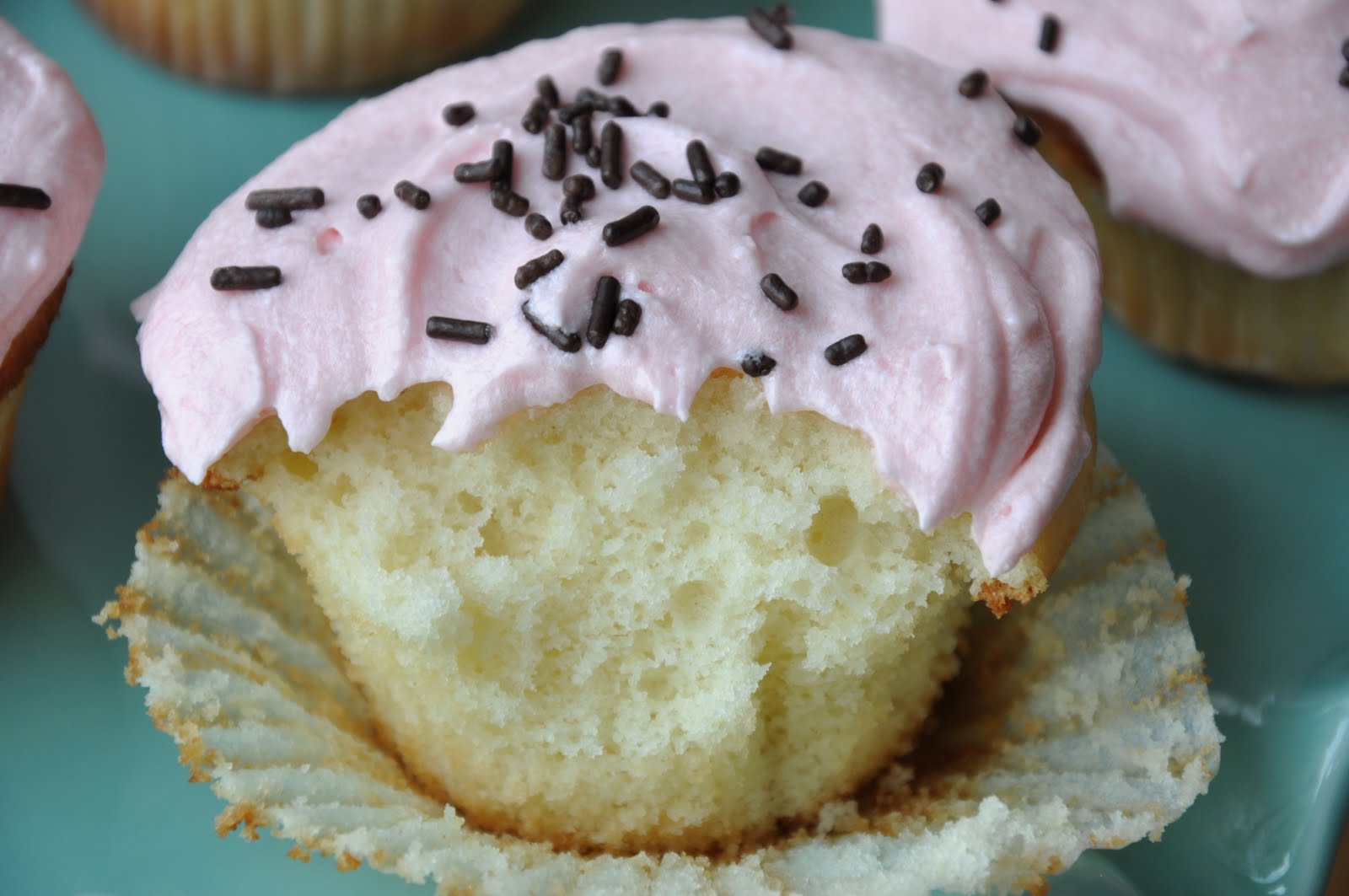 NYC's Famous Magnolia's VanillaVanilla Cupcakes (REDUCED