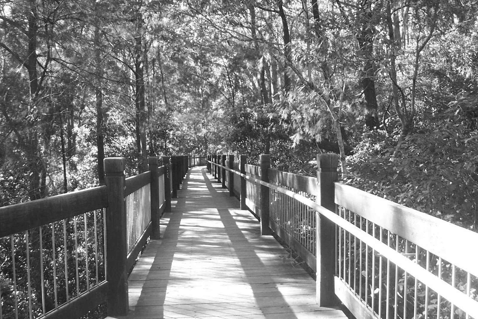 [Bridge++2.bmp]