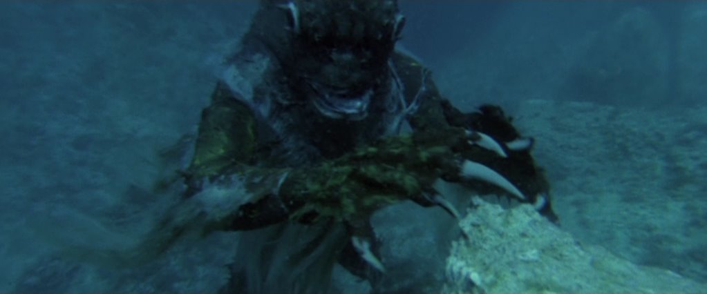 [fish24]