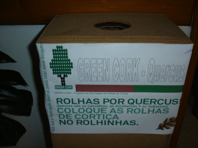 [DSC09996.JPG]