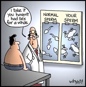 [sperm.bmp]