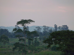 Beautiful Congo
