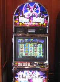 Lost My Student Loan Gambling