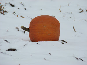 Pumpkin in Snow