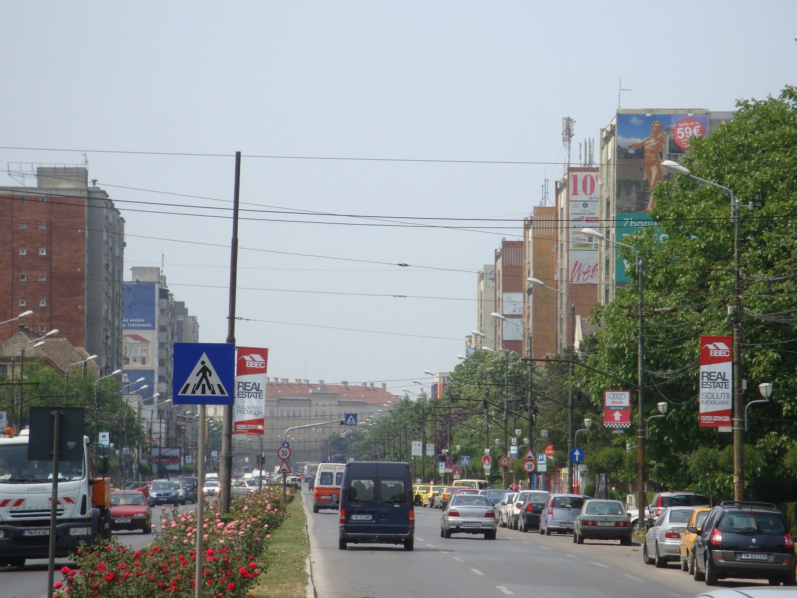[DSC03019.JPG]