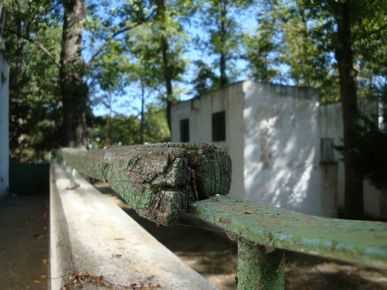 [DSC04319.JPG]