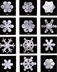 Wilson Bentley, "Snowflakes" (1902)