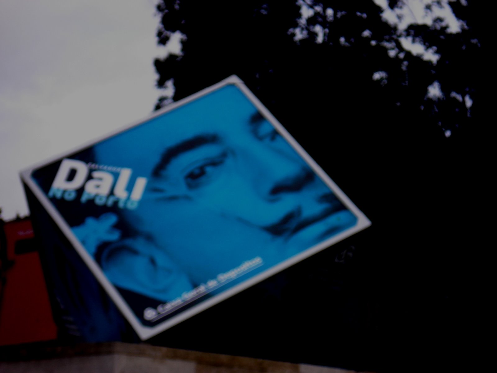 [Imagem+238.jpg]