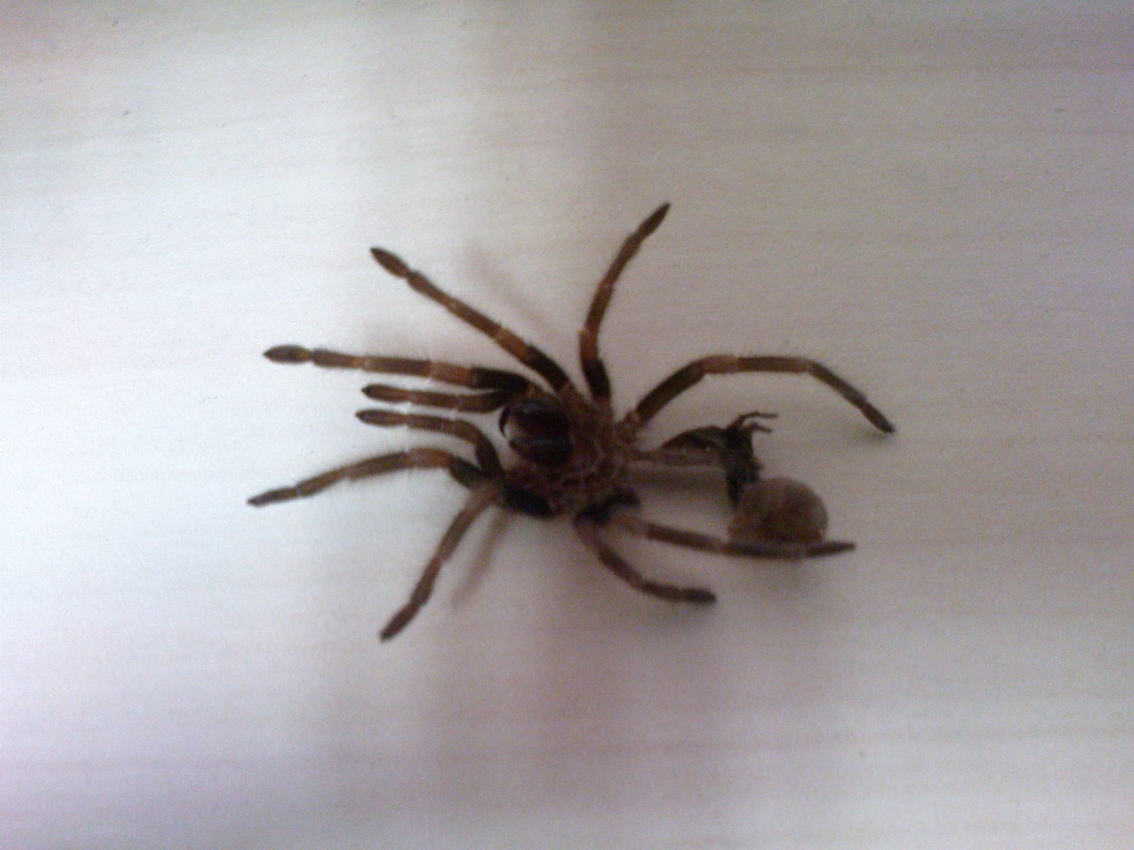 [DSC00005.JPG]