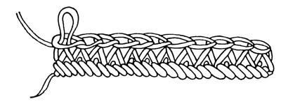 [pic10.jpg]
