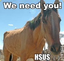 HSUS