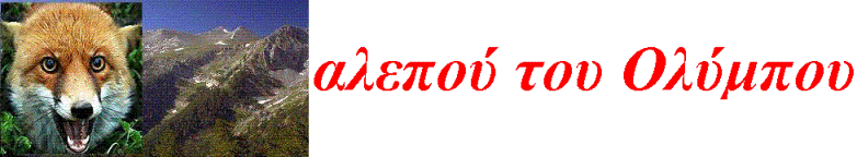αλεπού του Ολύμπου