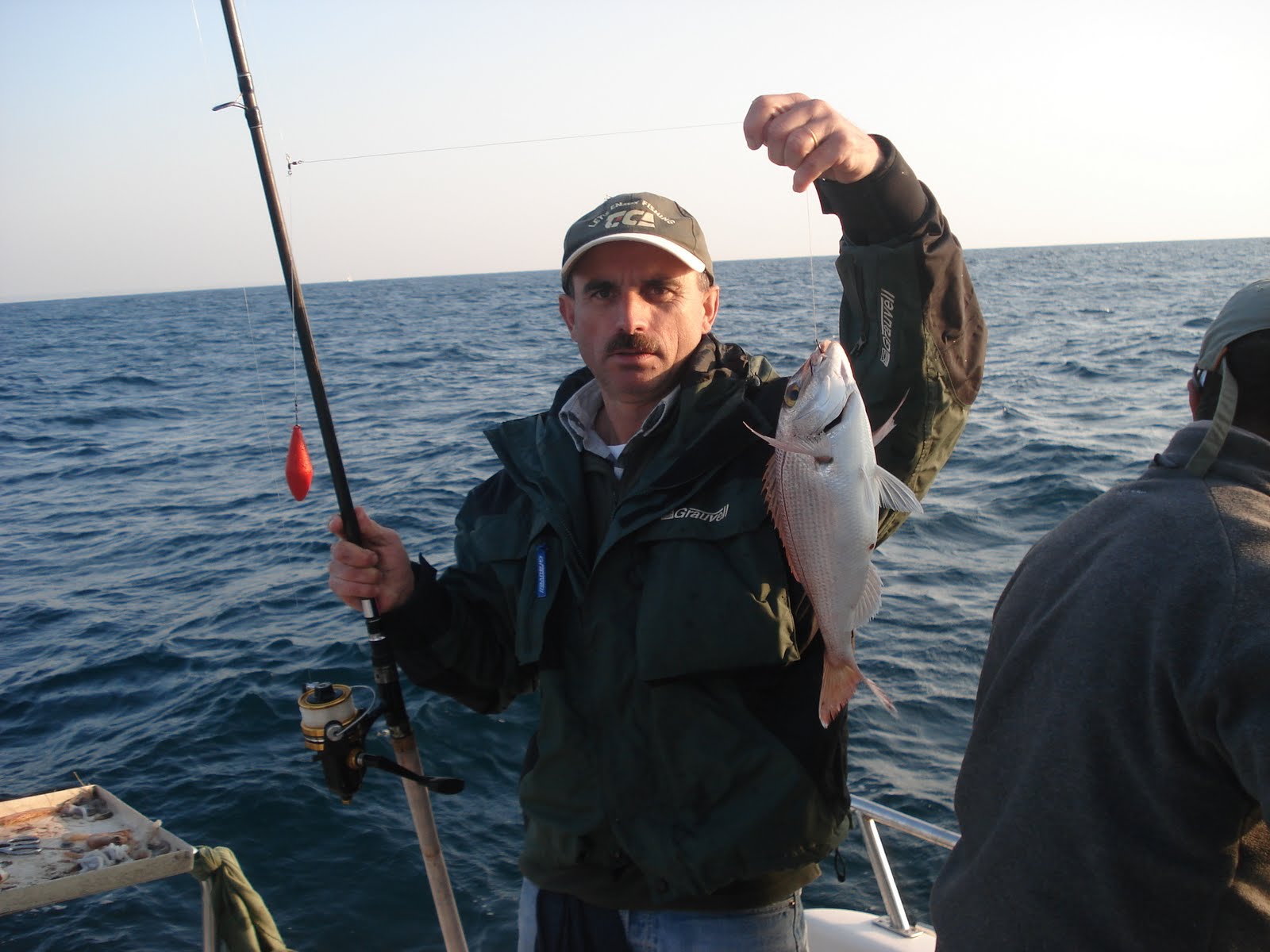 [Parguinho+Letras.JPG]