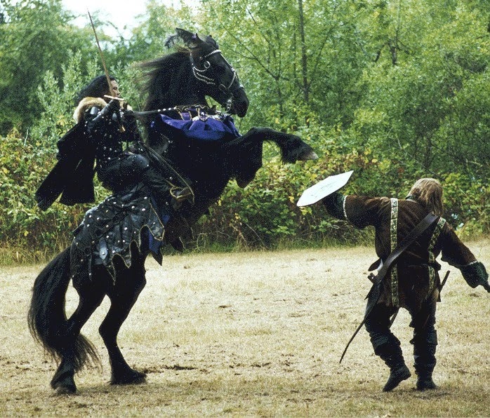 Historical Hussies Medieval Horses and Horse Breeds....