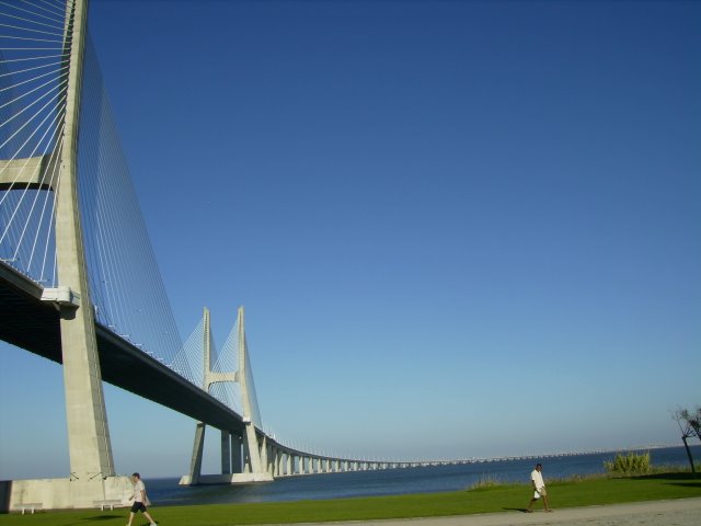[P8091519.JPG]