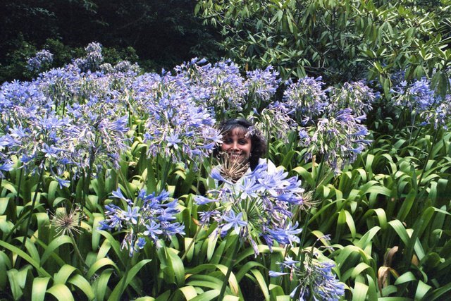 [92_Sintra_Dulce.jpg]