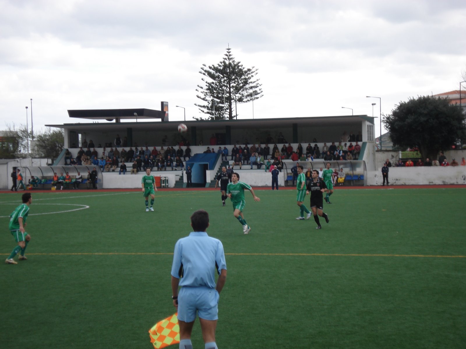 [DSC07571.JPG]