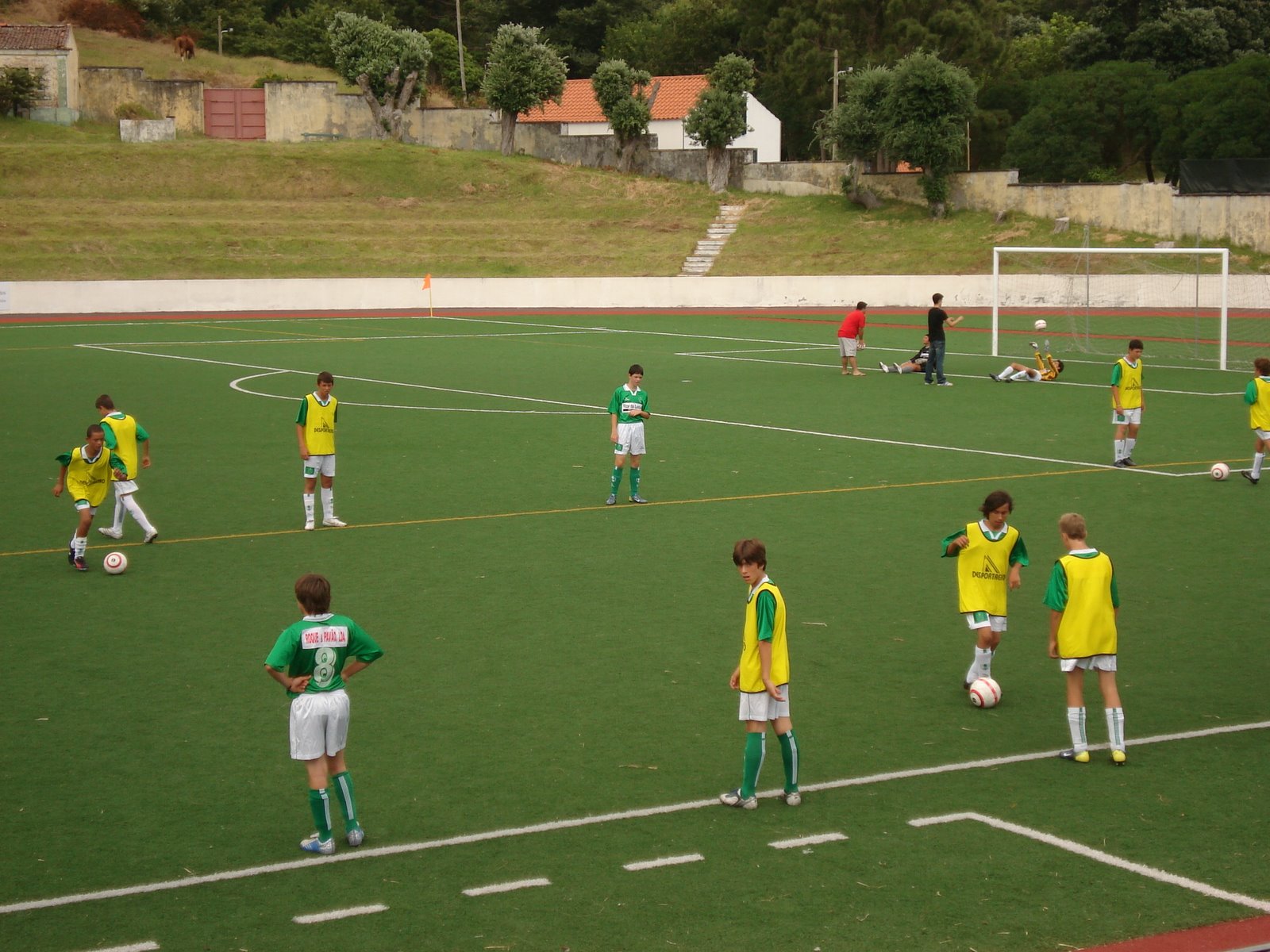 [DSC00317.JPG]