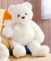 my teddy beaR,,!!