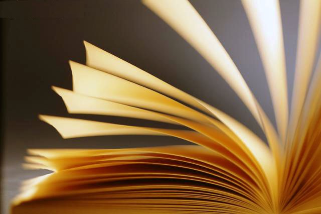 [livro.bmp]