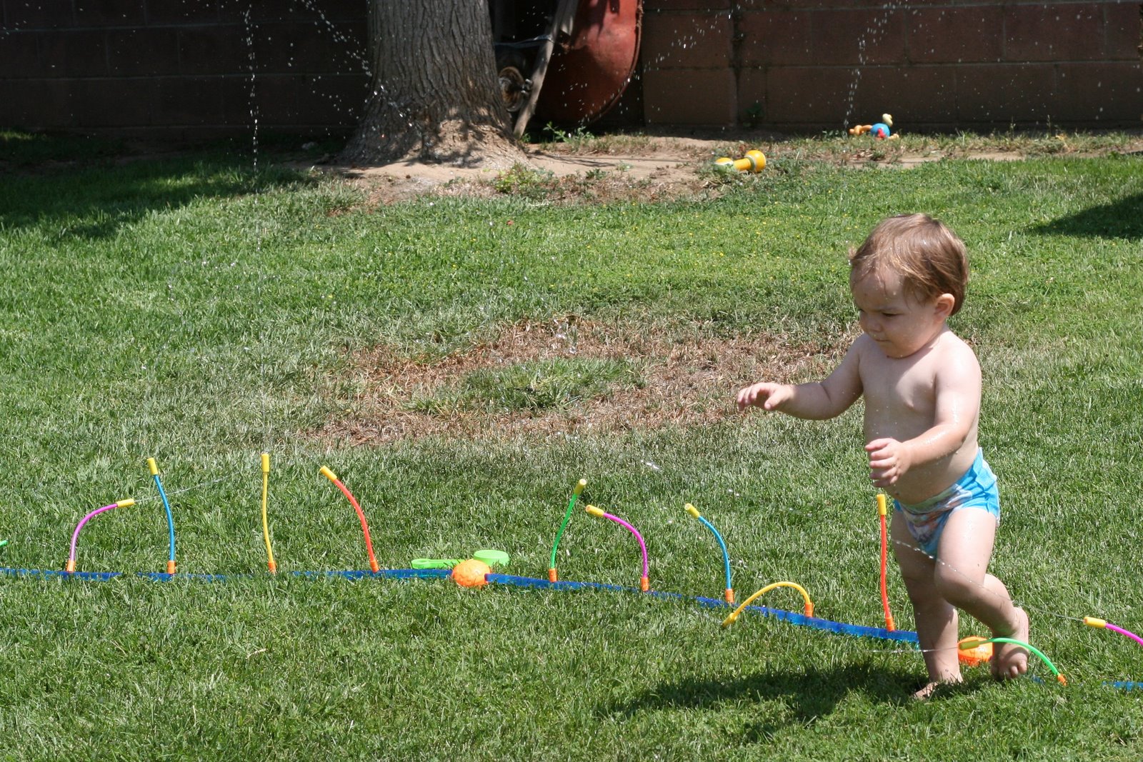 [6-10-07+Ro+Sprinklers.JPG]