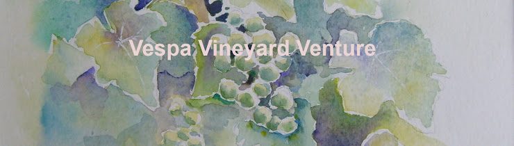vespa vinyard venture