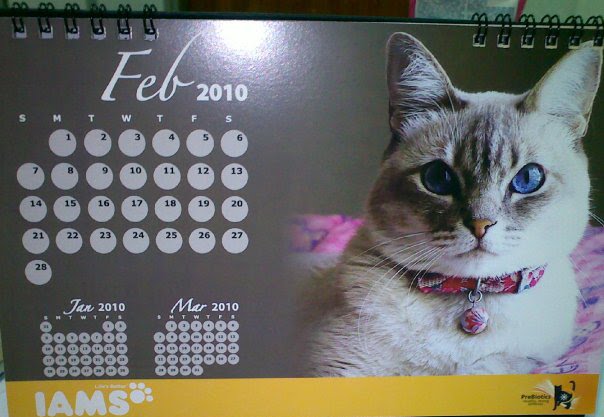 [cat+calendar+3.jpg]