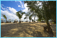 koh chang online 14