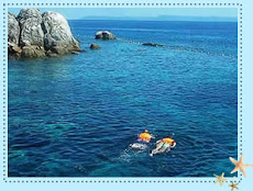 Blog koh chang online 36