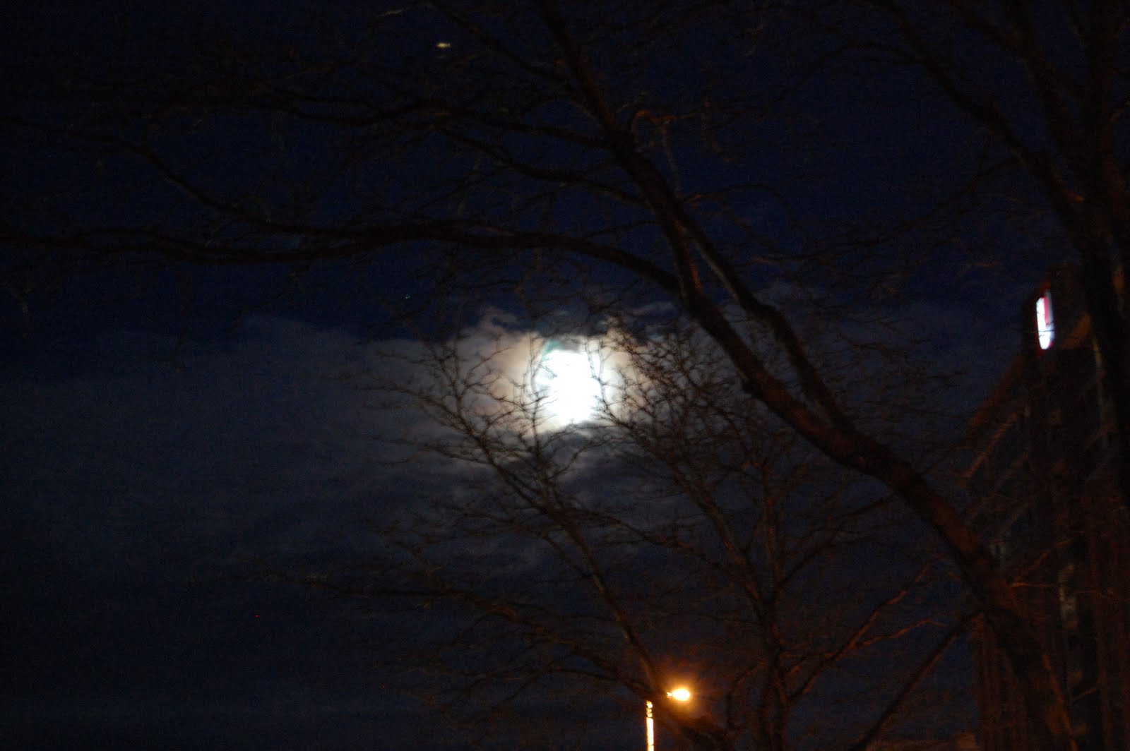 [DSC_1174.JPG]