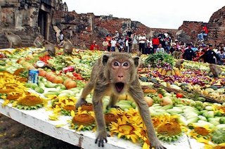 [monkeybuffet_lopburi.jpg]