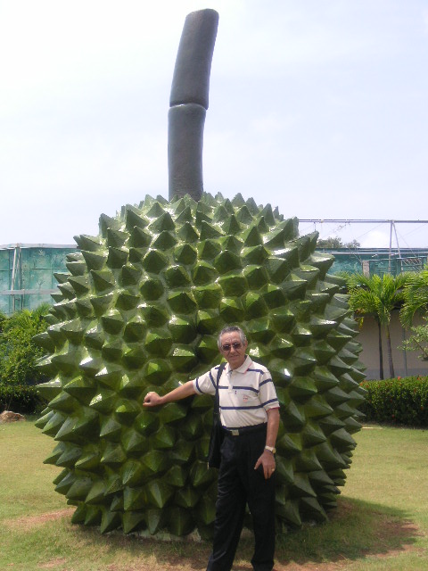 [PICT0397.JPG]
