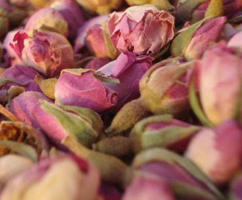 [rosa+damasquina.jpg]