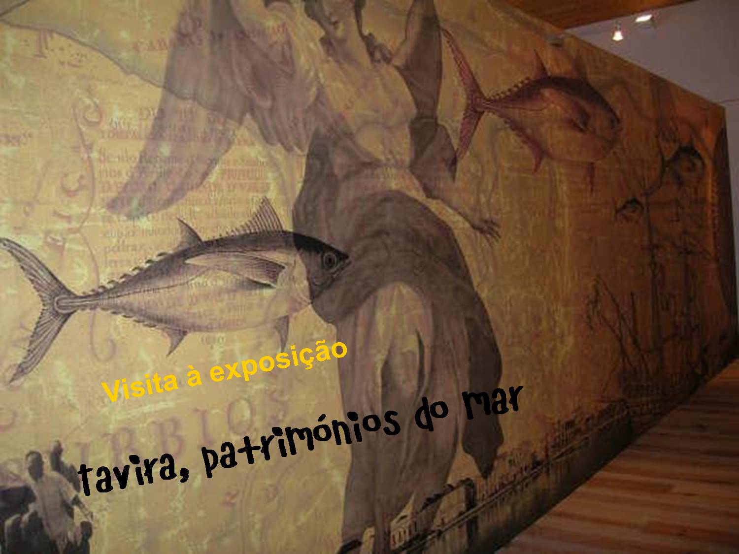 [Imagem1.jpg]