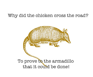 armadillo facts fun texas leprosy illegal carry because sell they live