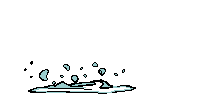 [peixe32.gif]