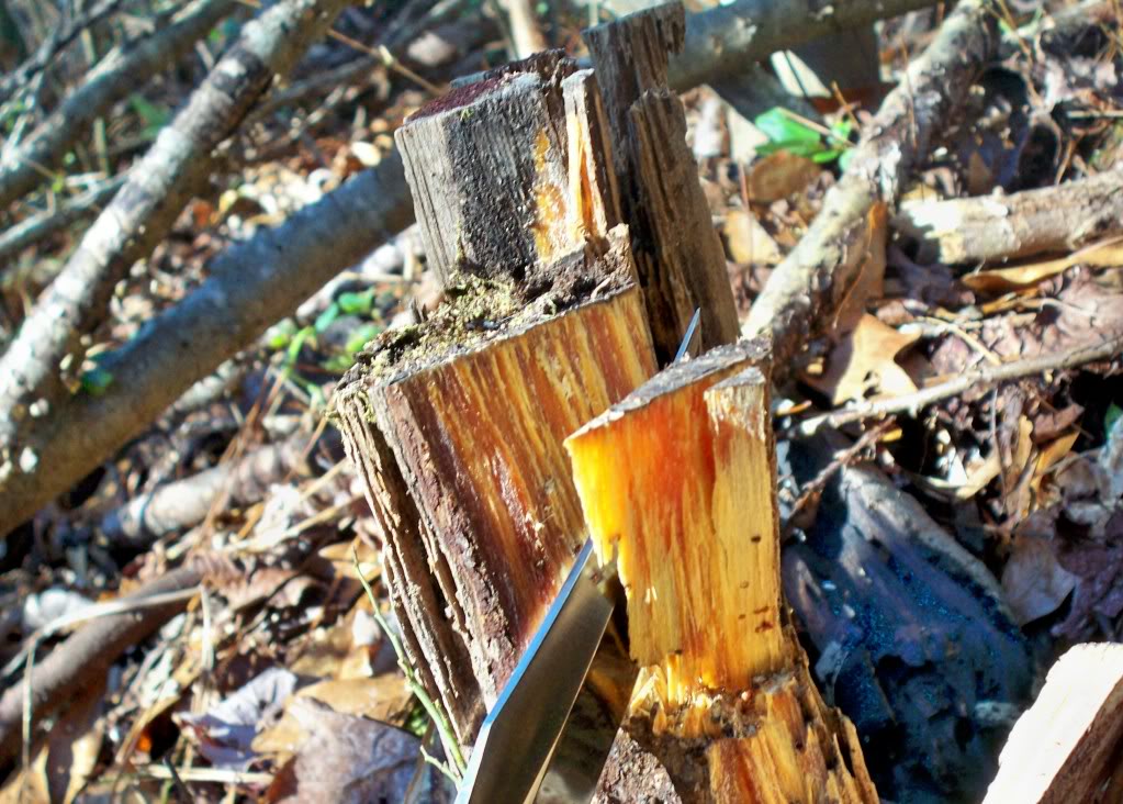 To Outdoor Camping Tips Essential Camping Tip Building a