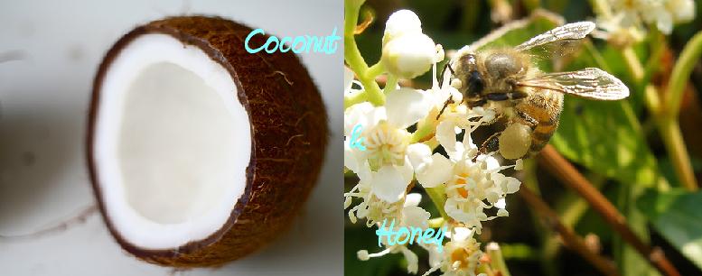 Coconut & Honey