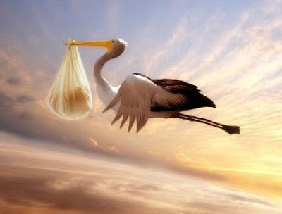 hoy es mi dia mas fertil como salir embarazada gemelos