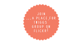 Grupo Twiggs en Flickr