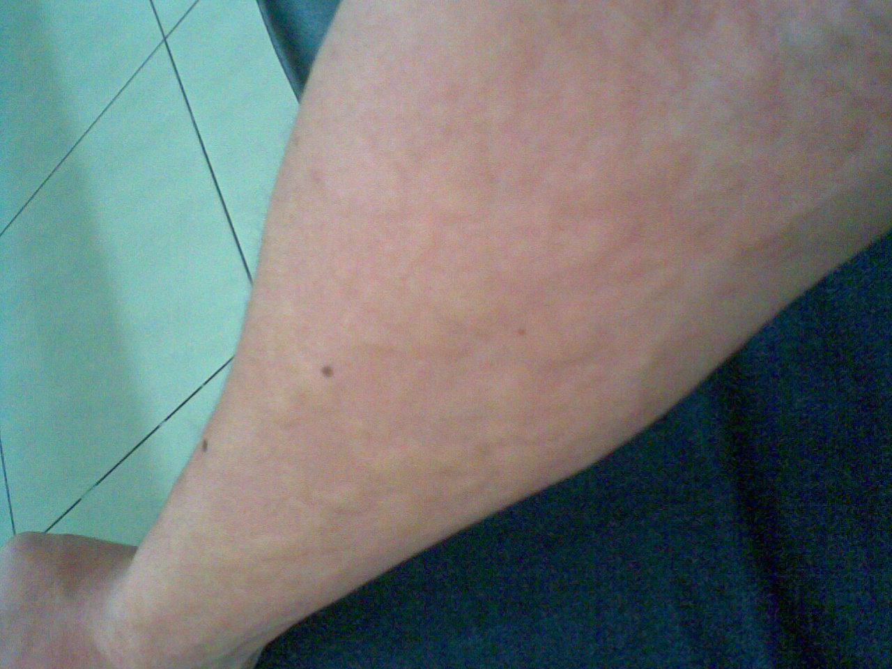[Aaa012.jpg]