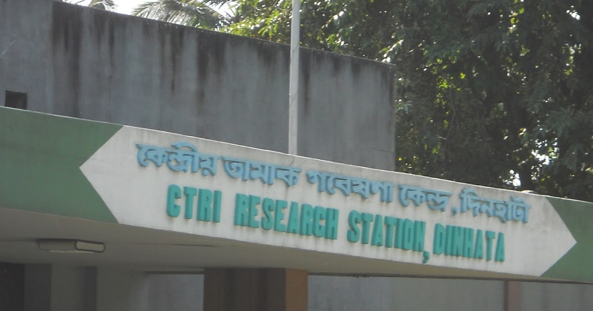 DINHATA DINHATA CTRI RESERCH STATION