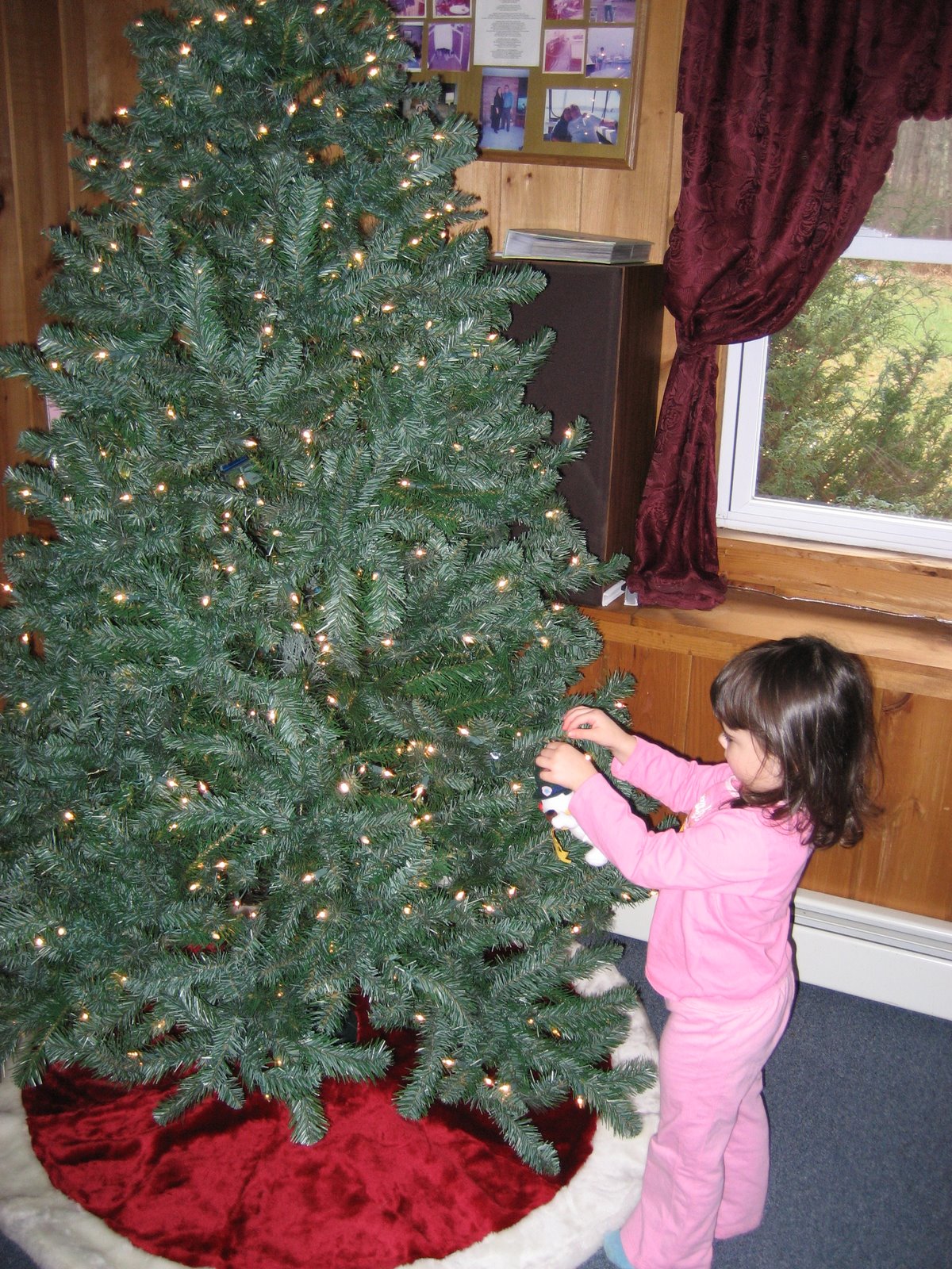 [IMG_3037.jpg]