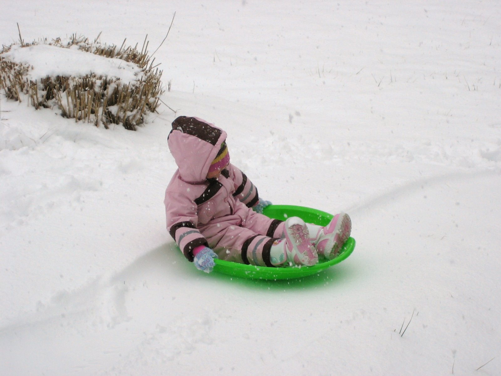 [IMG_4456.JPG]