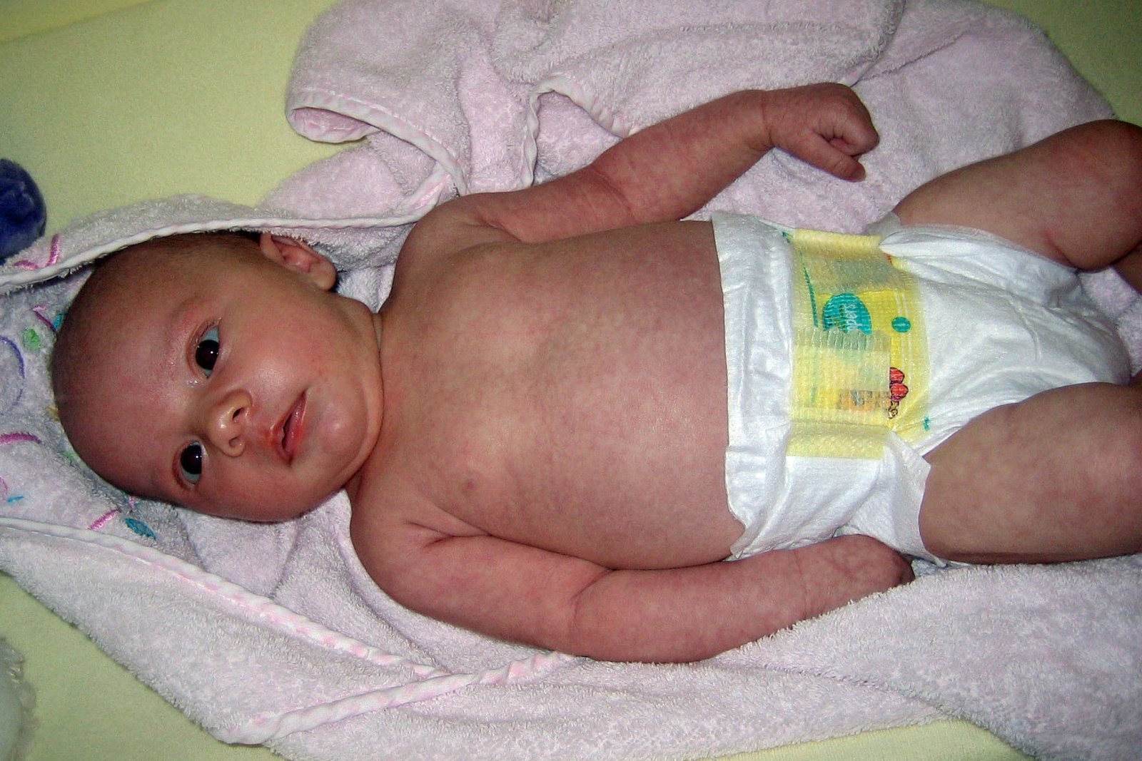 [IMG_2246+cropped.jpg]