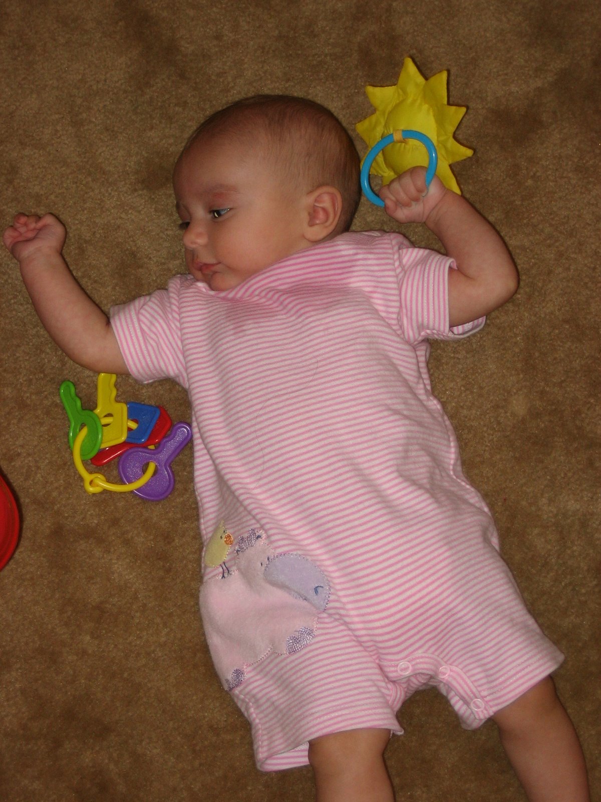 [IMG_3135.JPG]