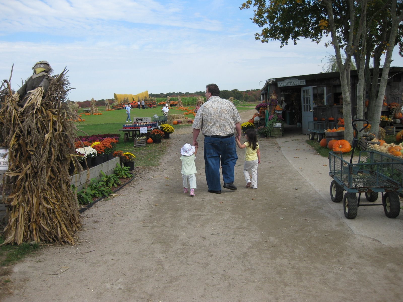 [IMG_7440.jpg]